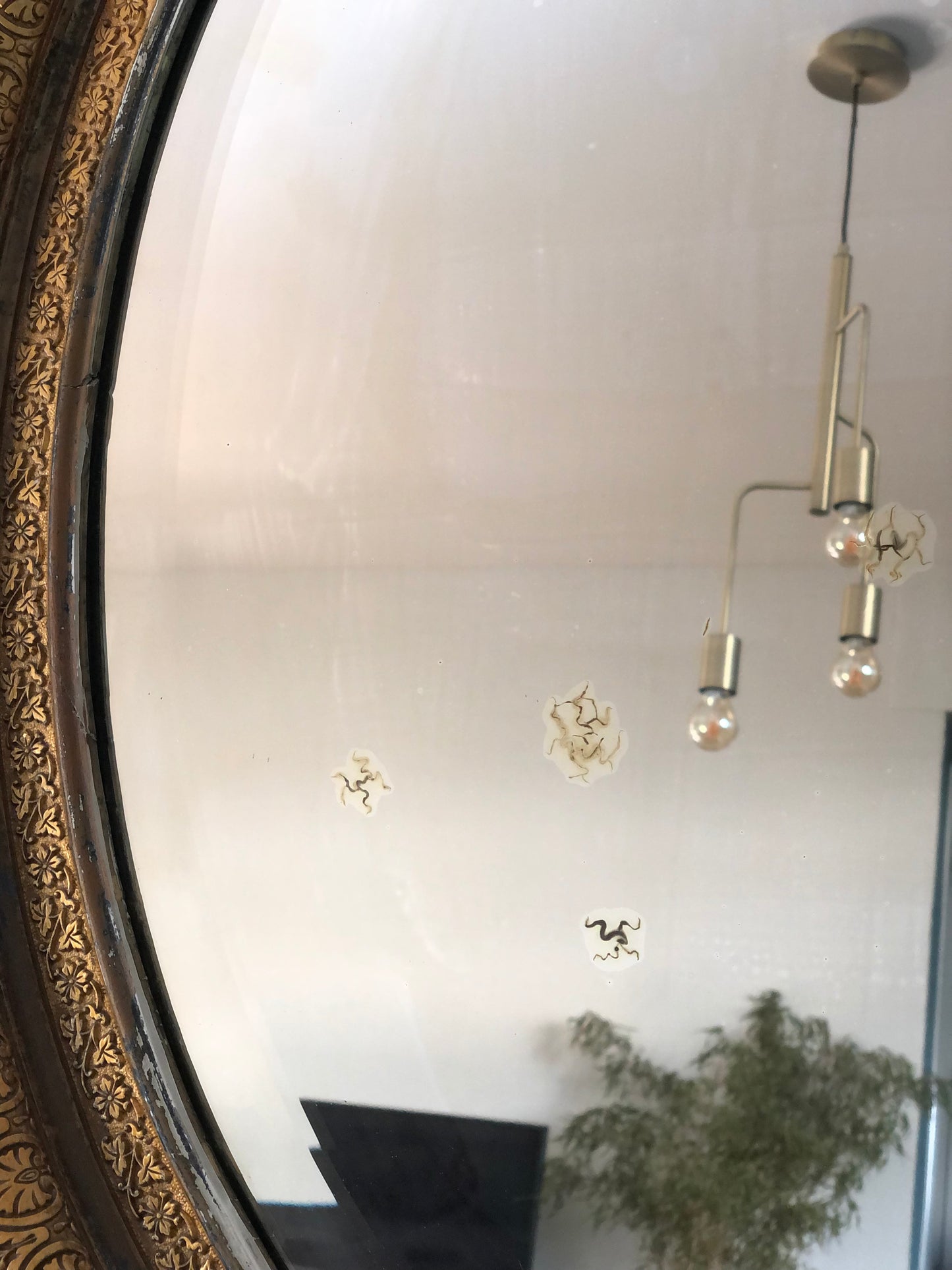 19th Century French Gilded Facet Cut Oval Mirror
