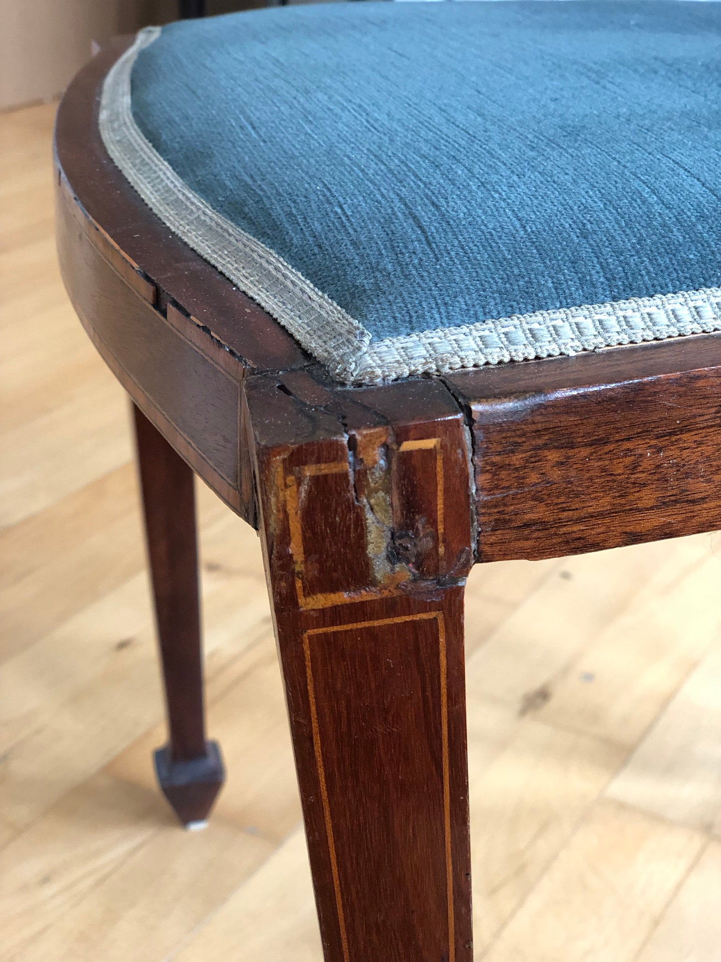 Pair of Antique Mahogany Hepplewhite Revival Chairs Denmark 1900s