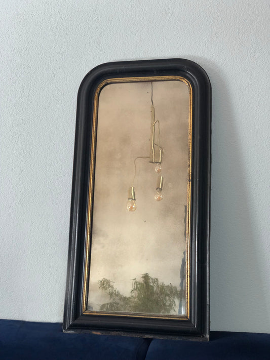 Antique Louis Philippe Full Length Small Mirror